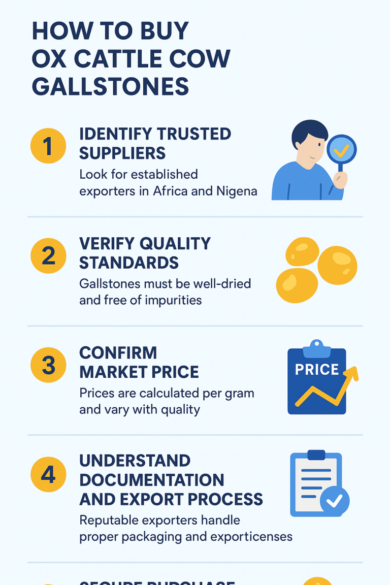 How to Buy Ox Cattle Cow Gallstones