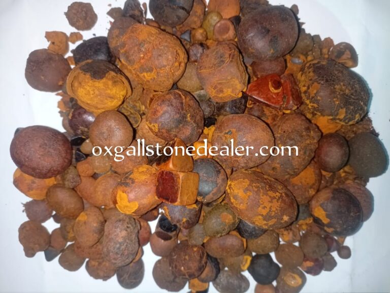 Top Ox Cattle Cow Gallstone Buyers in Africa Nigeria Lagos Ogun: Best Price